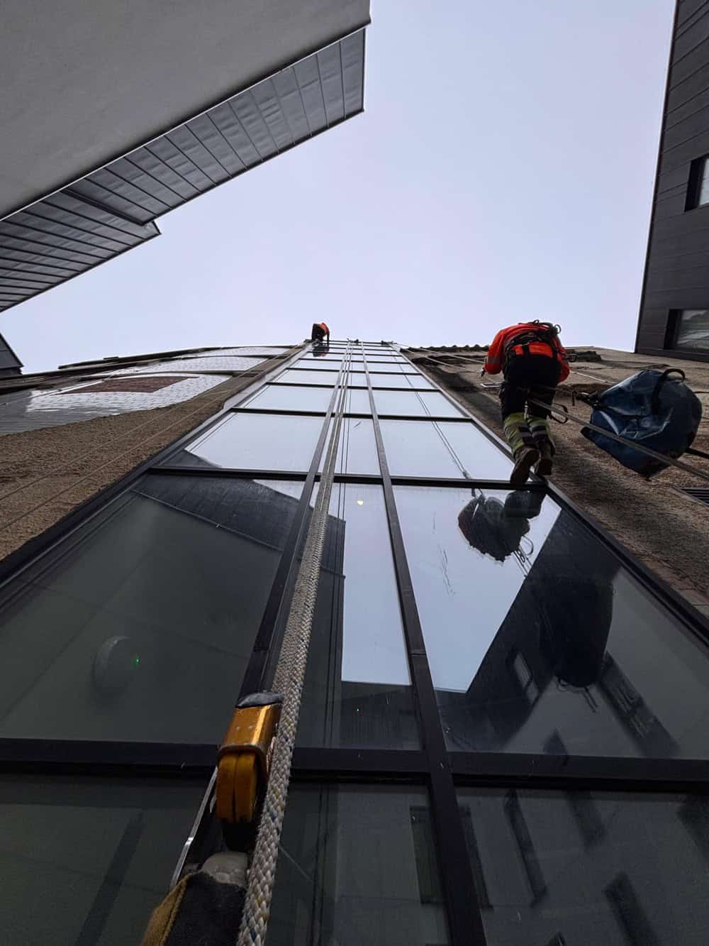 Two workers in safety gear ascend a tall glass building using ropes and harnesses, viewed from below.