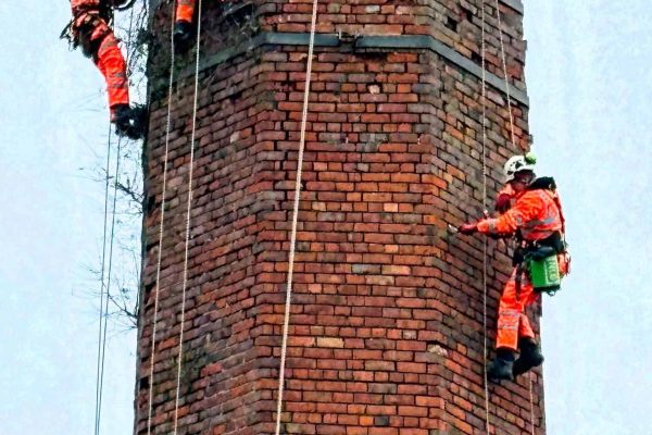 Case_Study_Eckersley